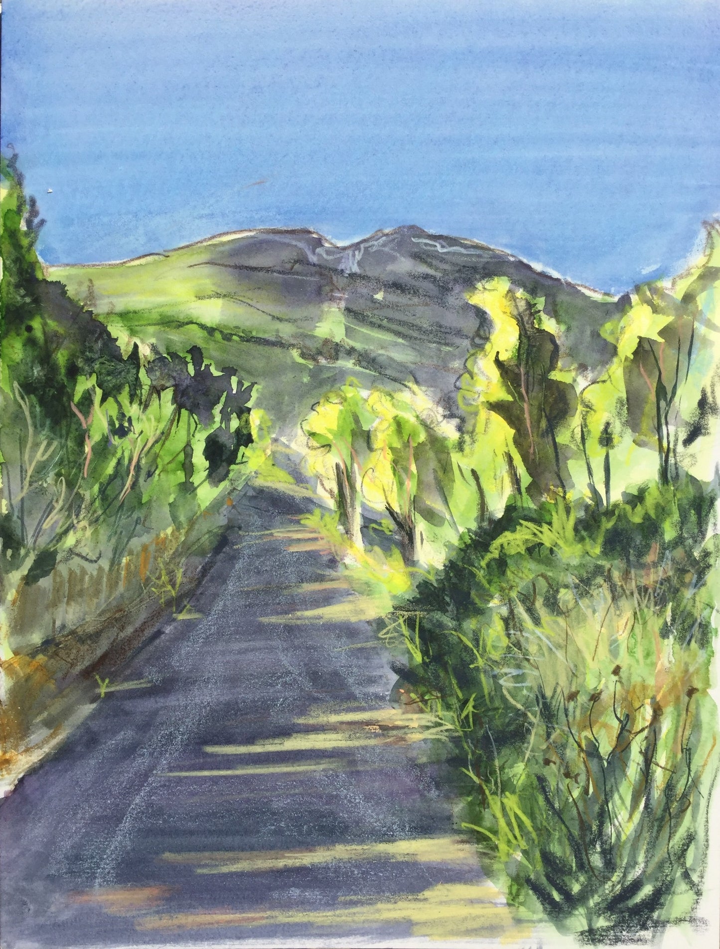 Road to the Villa, Caccamo, Sicily, June 9th, 2018