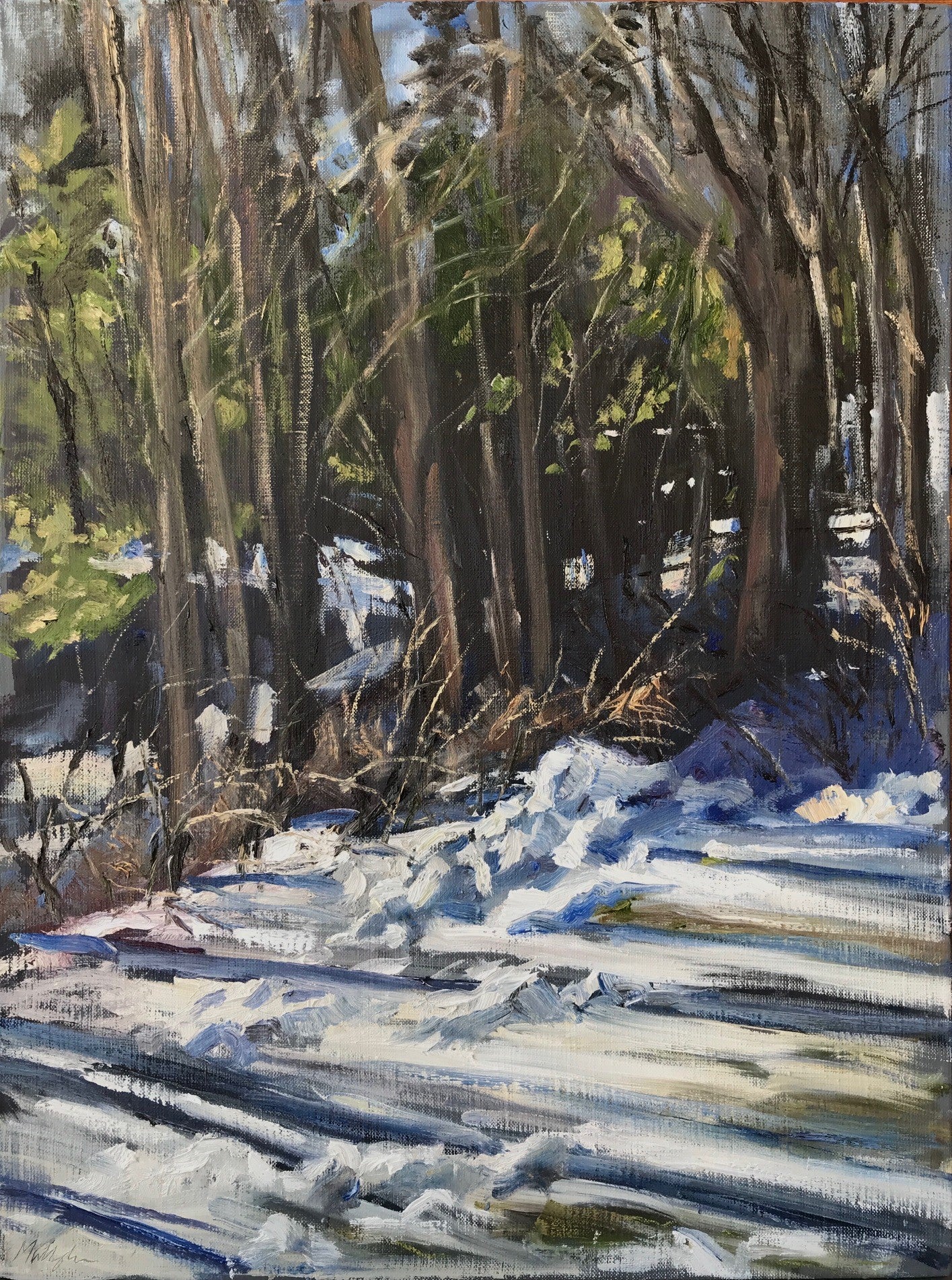 Snow and Trees, January 22nd, 2022