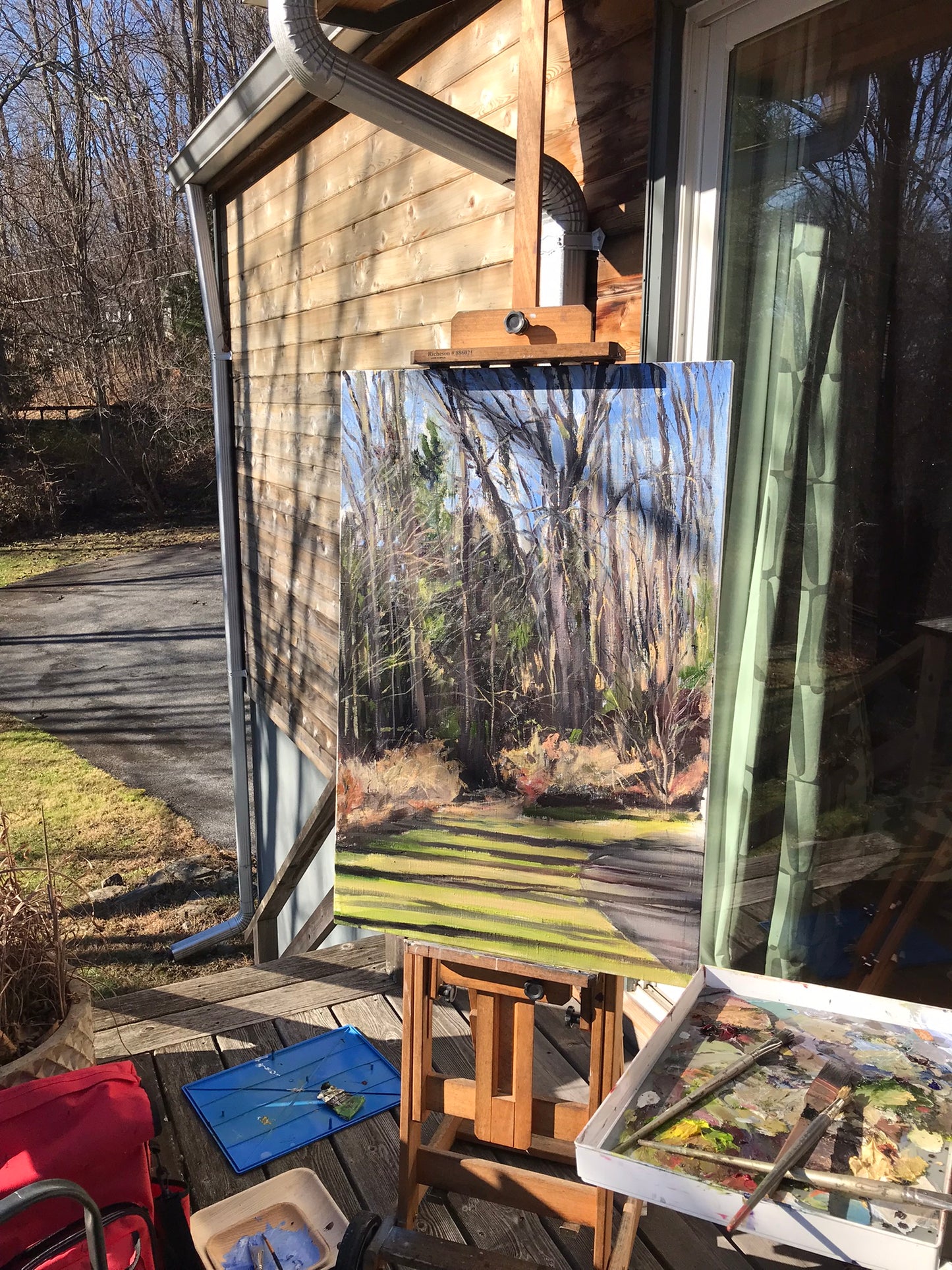 Trees and Shadows, November 26th, 2022