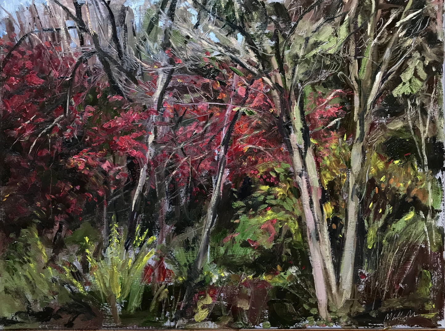 Autumn Foliage, November 13th, 2021