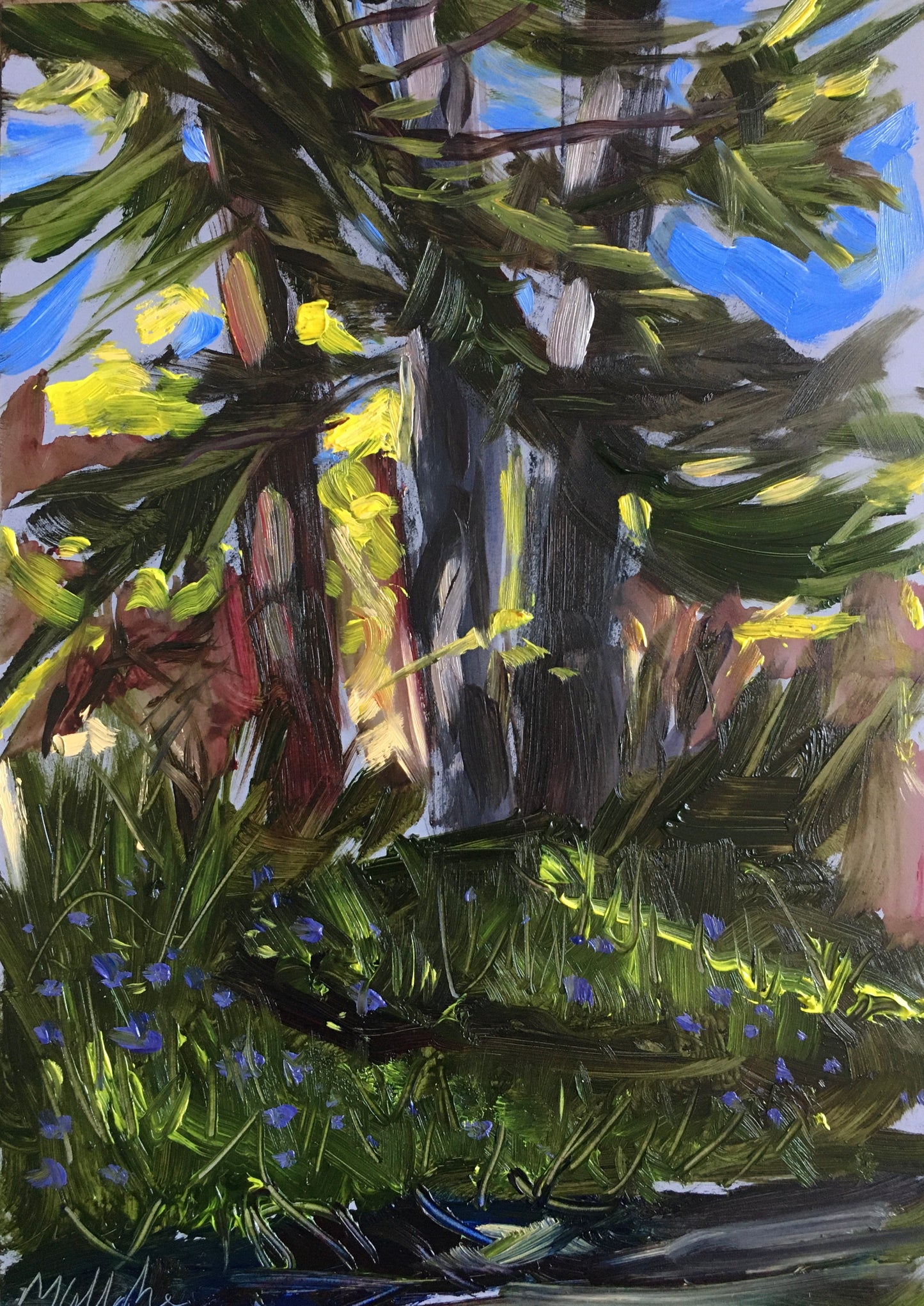 Trees, Clinton Corners, 4:15 pm, April 25th, 2020