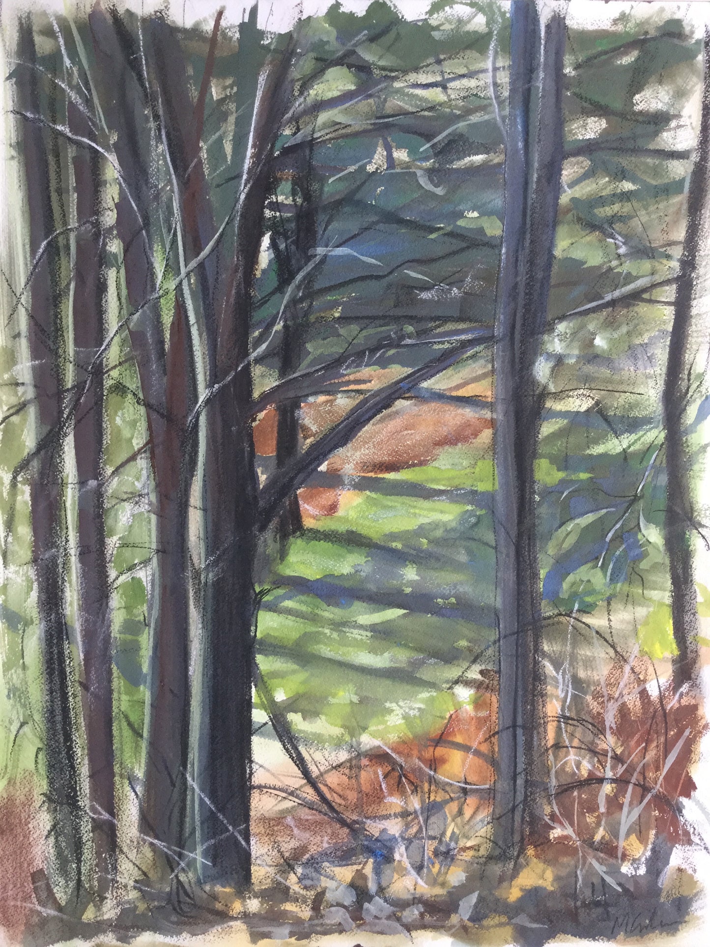 Through the Trees, 2014
