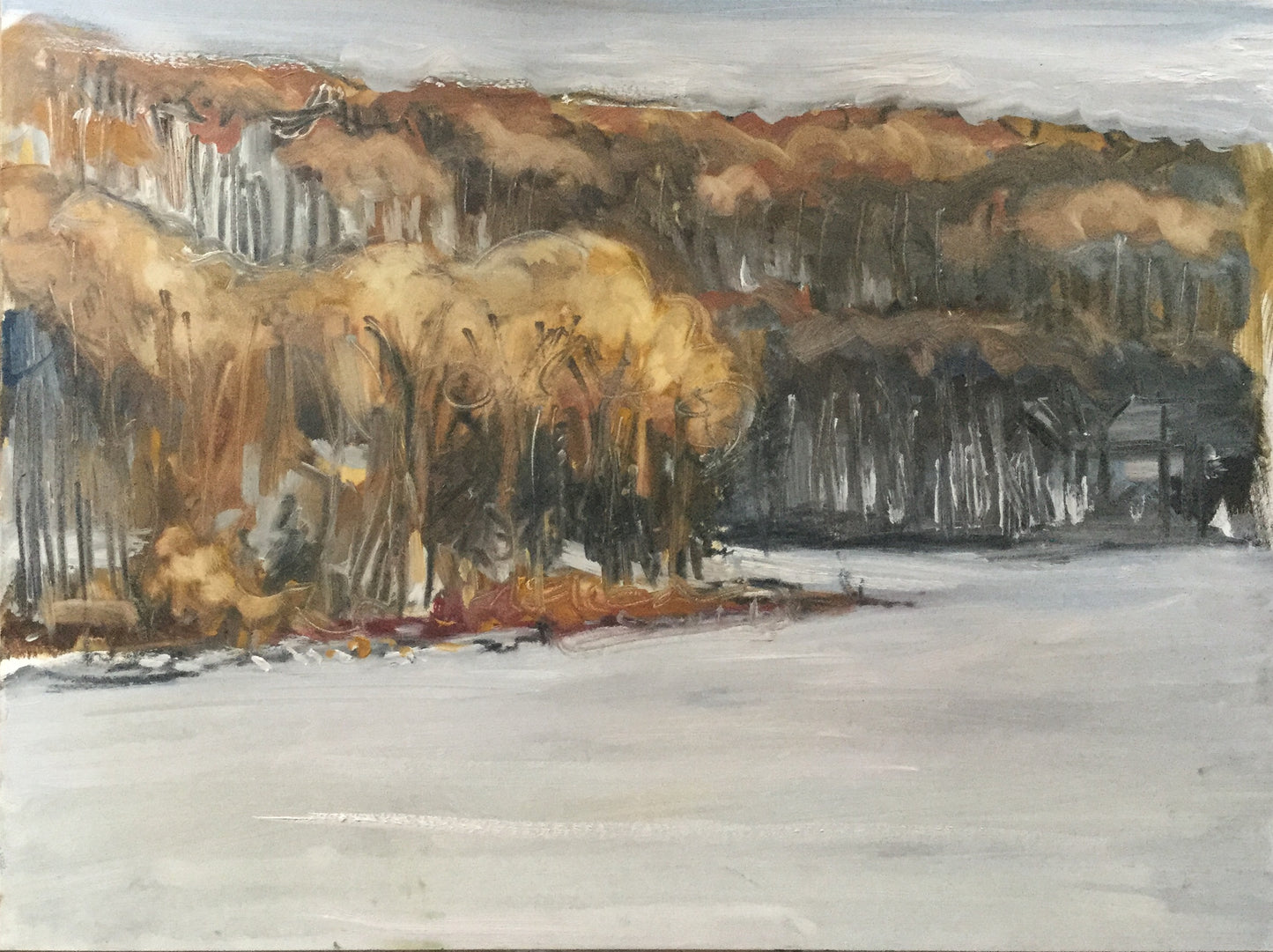 Upton Lake, January 13th, 2018