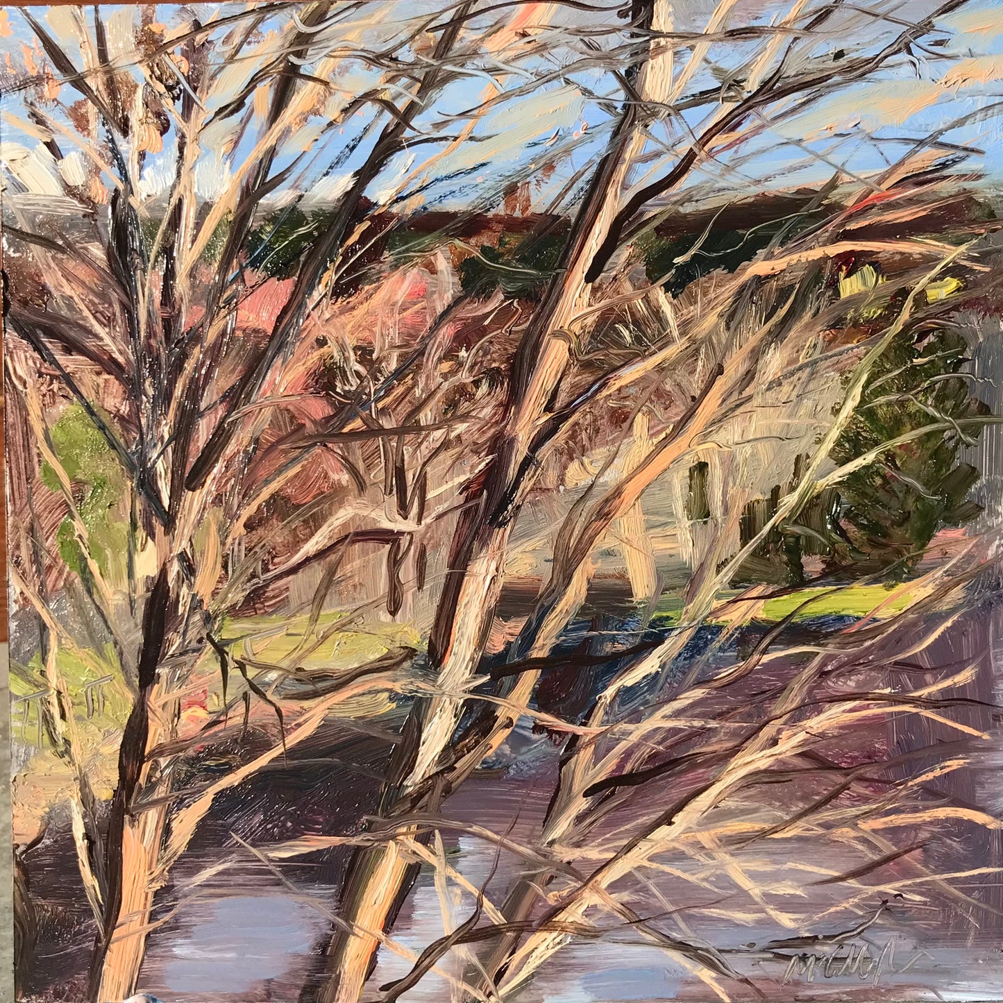 Tree Branches, Early Morning Light, December 19th, 2022