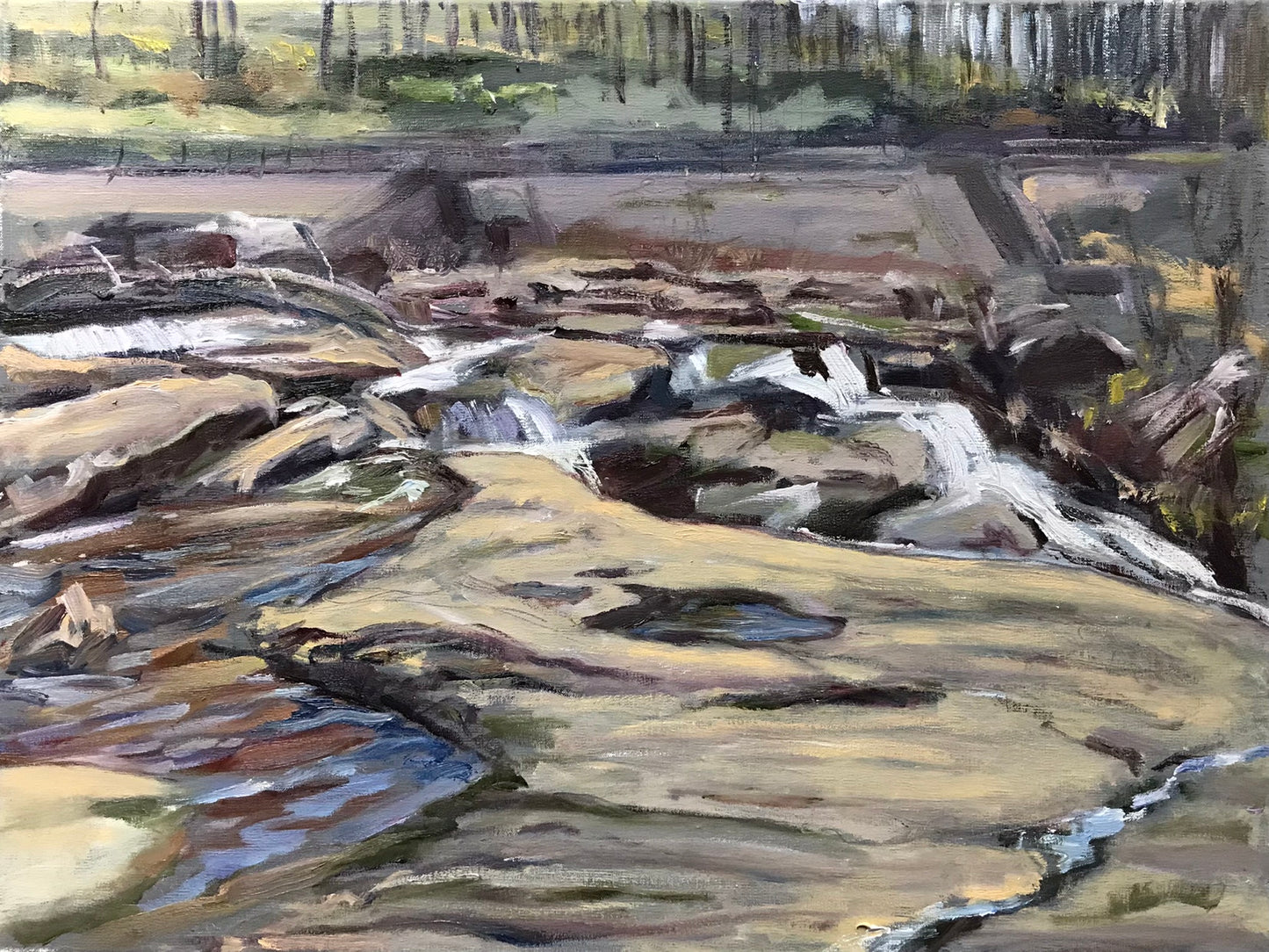 Great Falls, (Housatonic River), November 13th, 2022