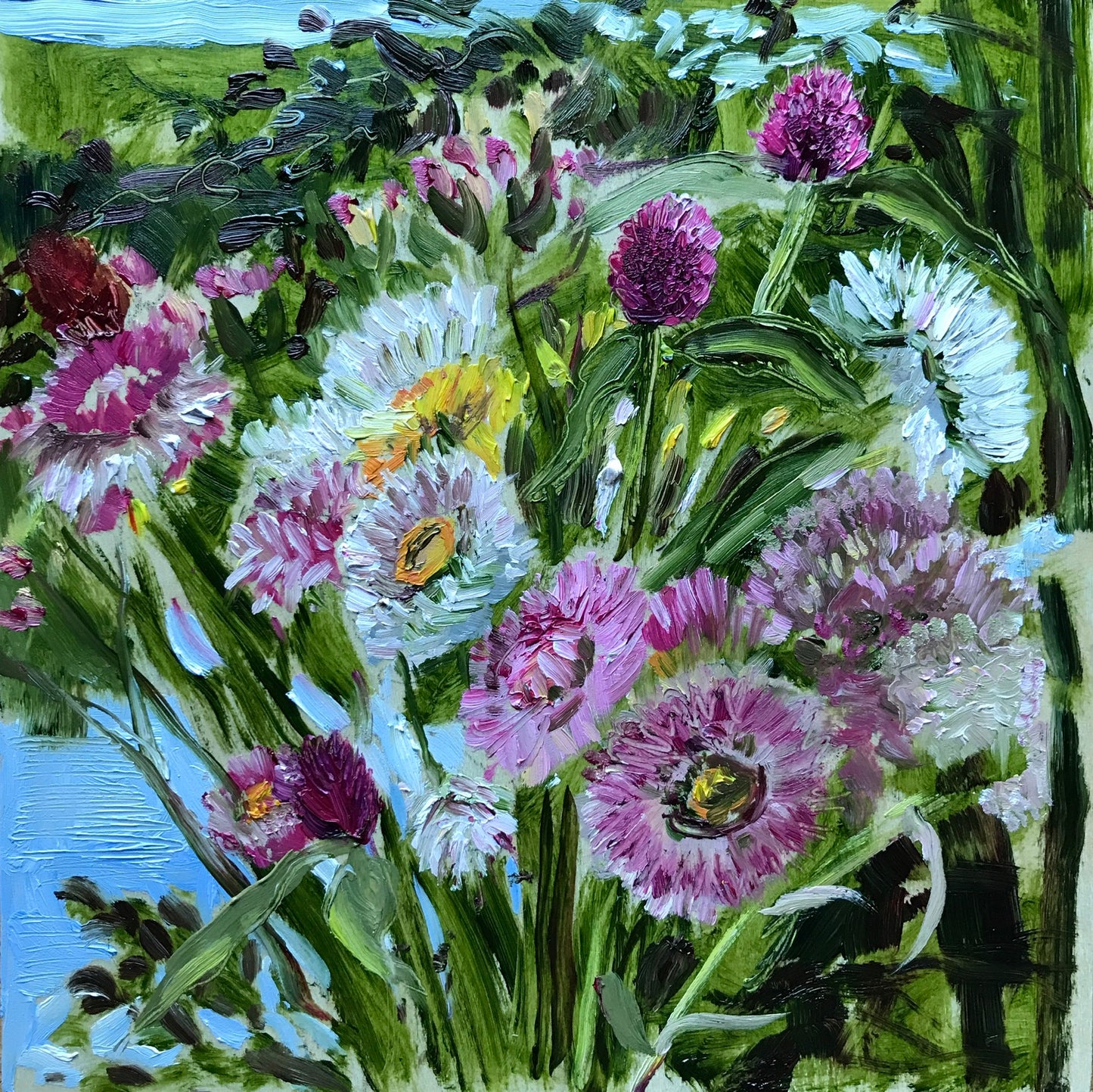 Strawflowers, September 6th, 2021