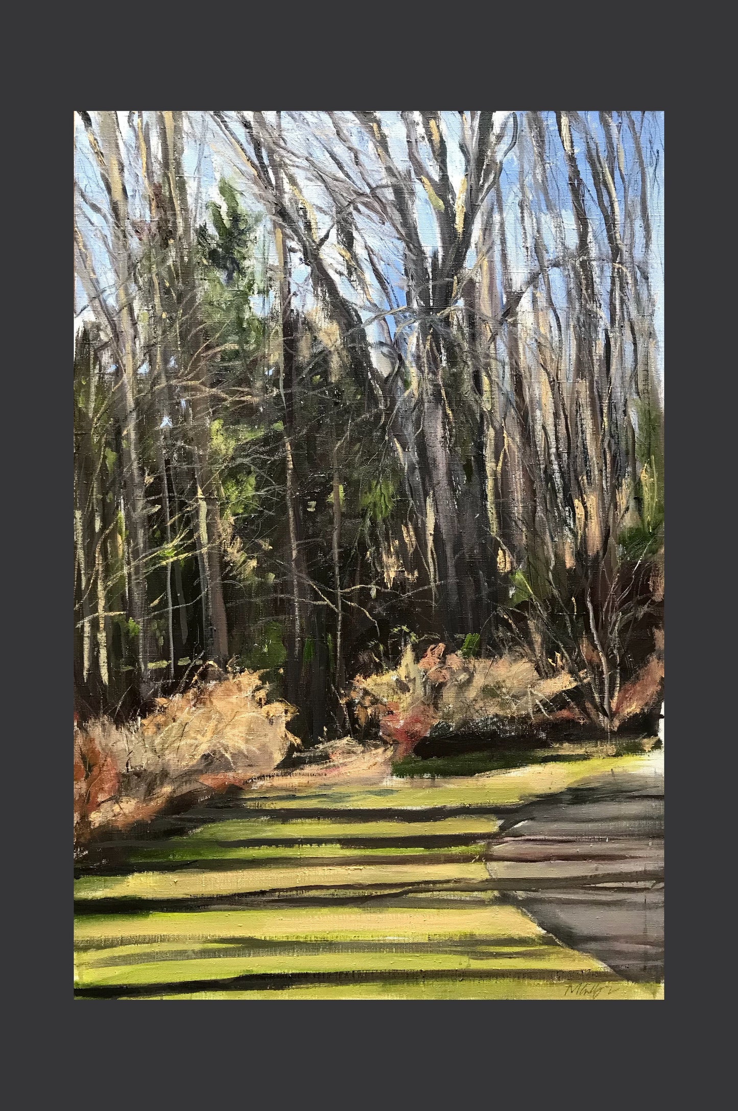 Trees and Shadows, November 26th, 2022