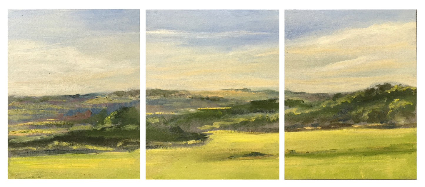 Triptych: Early Morning, Wethersfield Trails, July 17th, 2022