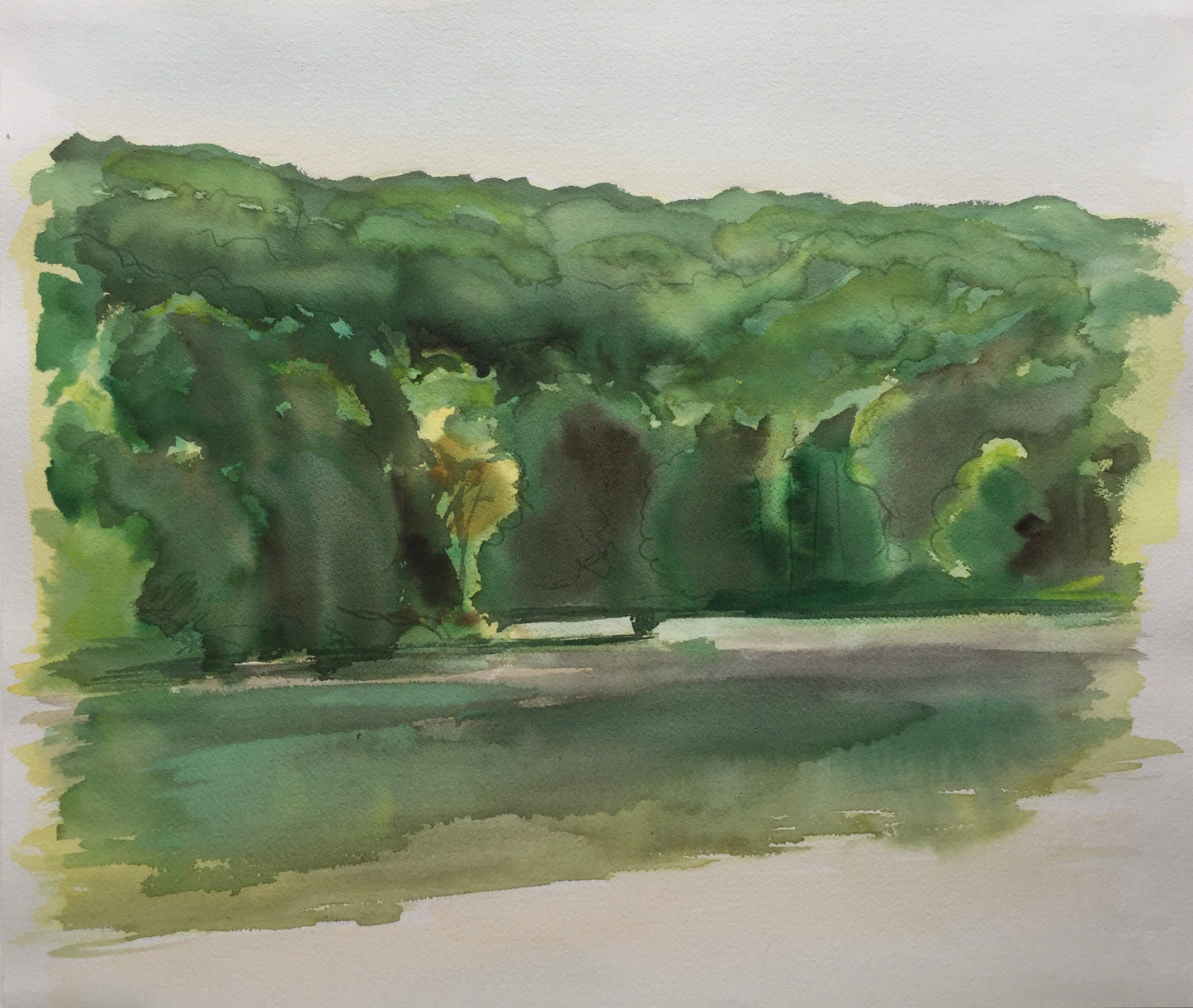 Summer, Upton Lake, August, 2015