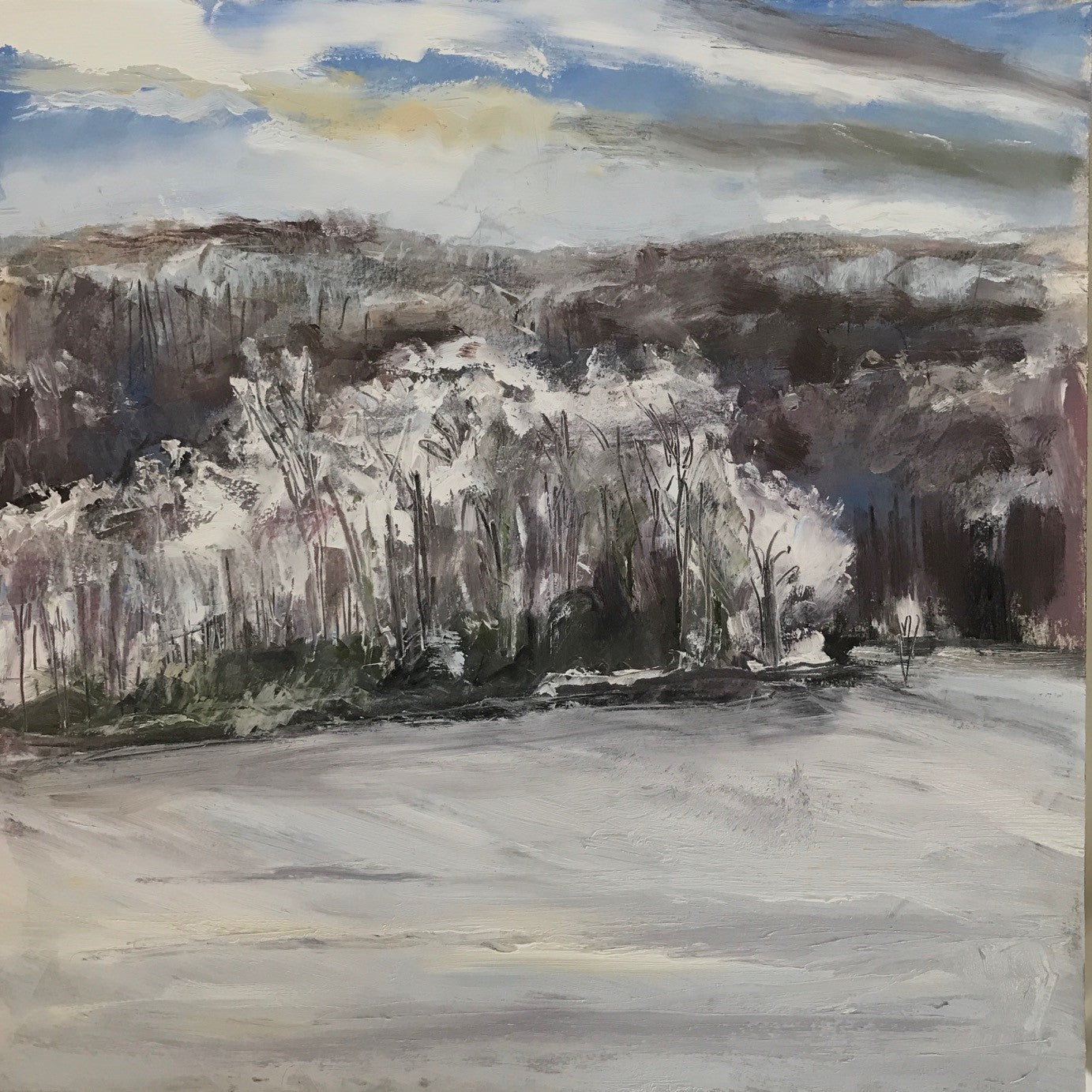 Ice Storm, Upton Lake, Early Morning, February 5th, 2022