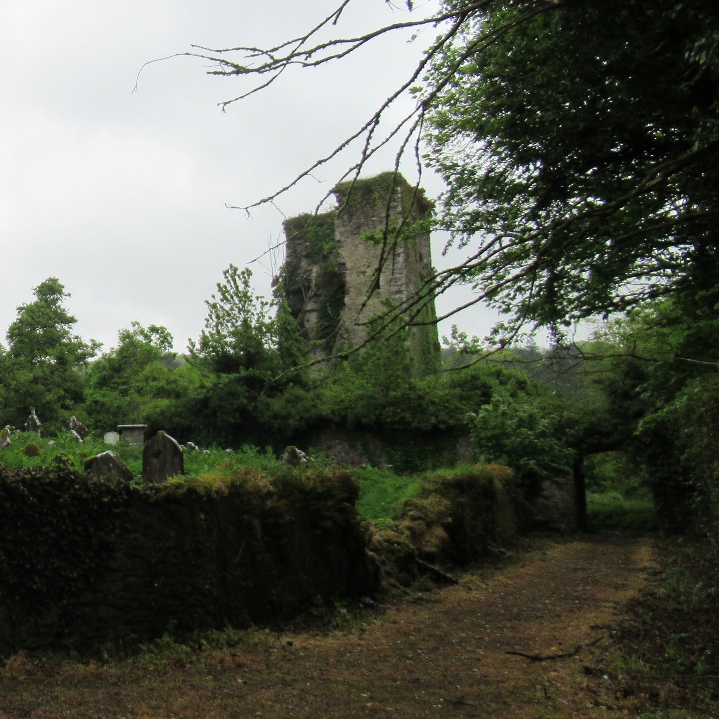 Ambiguity Series #15 (Stairwell, Templemichael Castle, County Cork, Ireland) 1/20