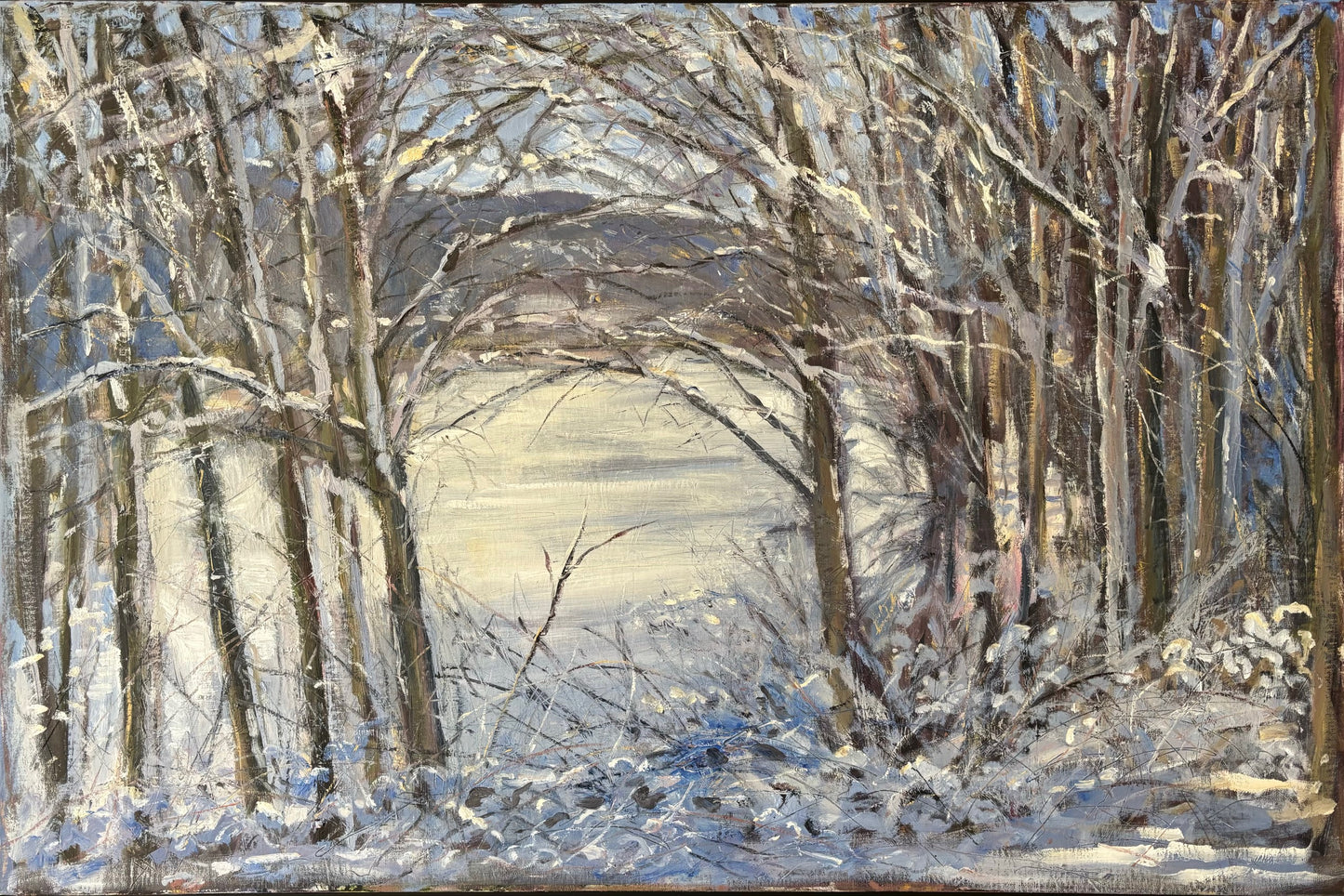 Frozen Lake through the Trees, January 8th, 2024