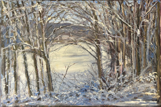 Frozen Lake through the Trees, January 8th, 2024