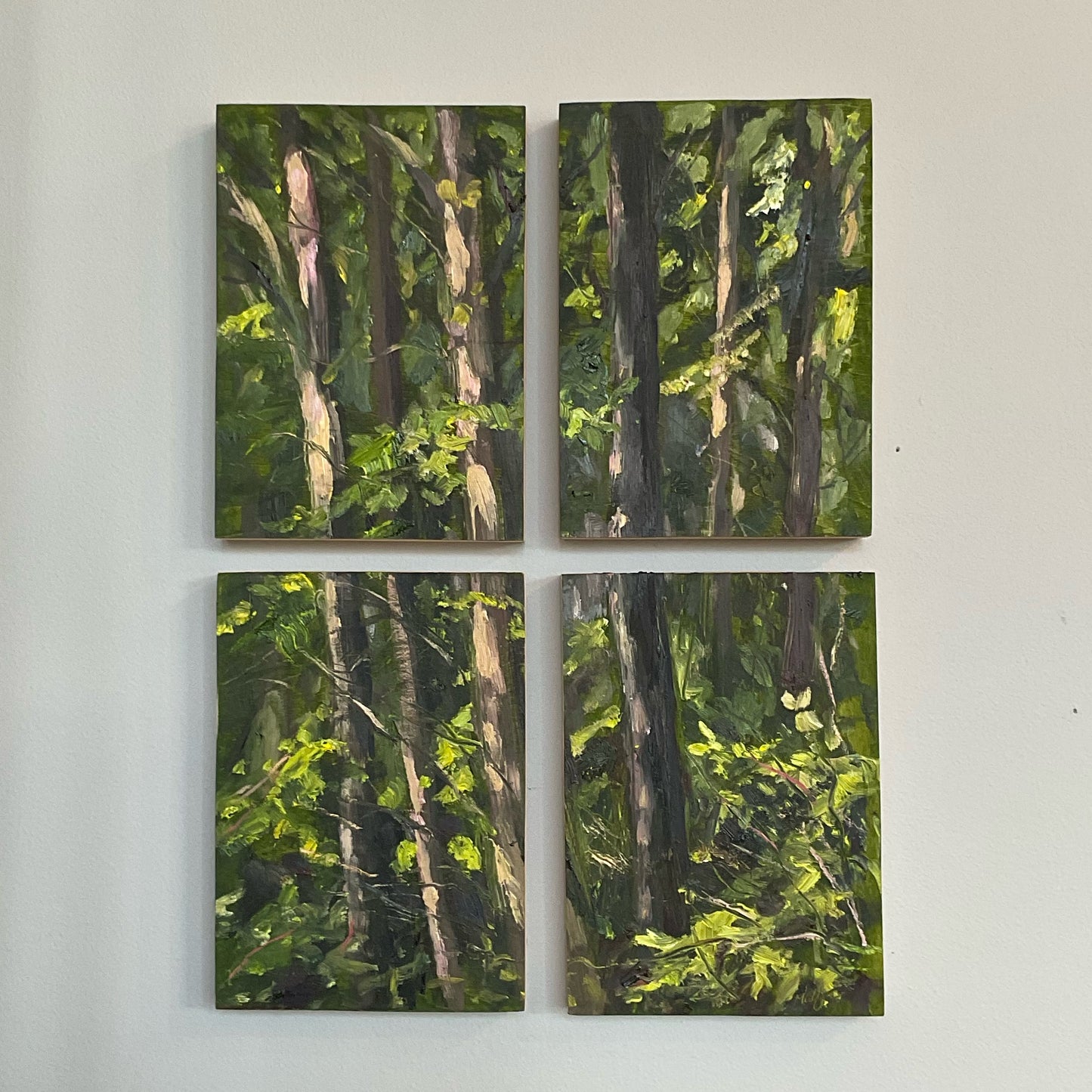 Trees - Quadriptych, May 29th, 2023