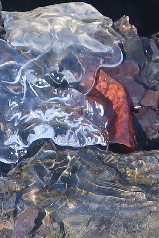 Ambiguity Series #5 (Ice and Leaf) 2/20