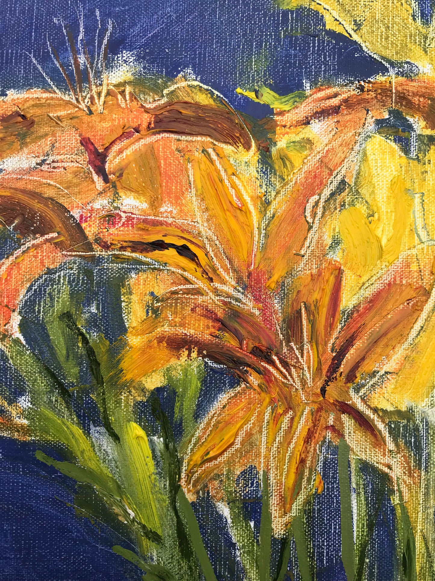 Daylilies, July 1st, 2023