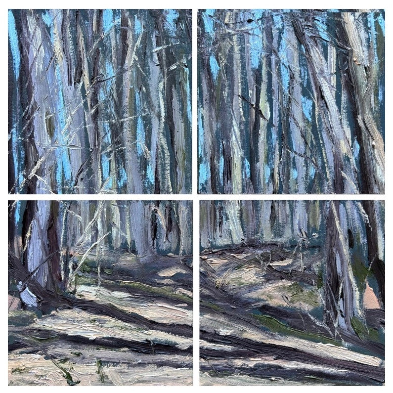 Quadriptych: Sisters Hill Woods, March 12th 2024
