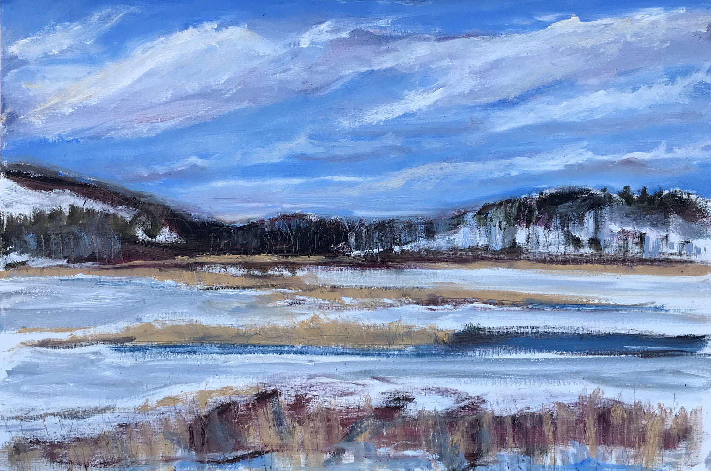Thompson Pond, partially frozen, Pine Plains, 1:45 pm, February 6th, 2021