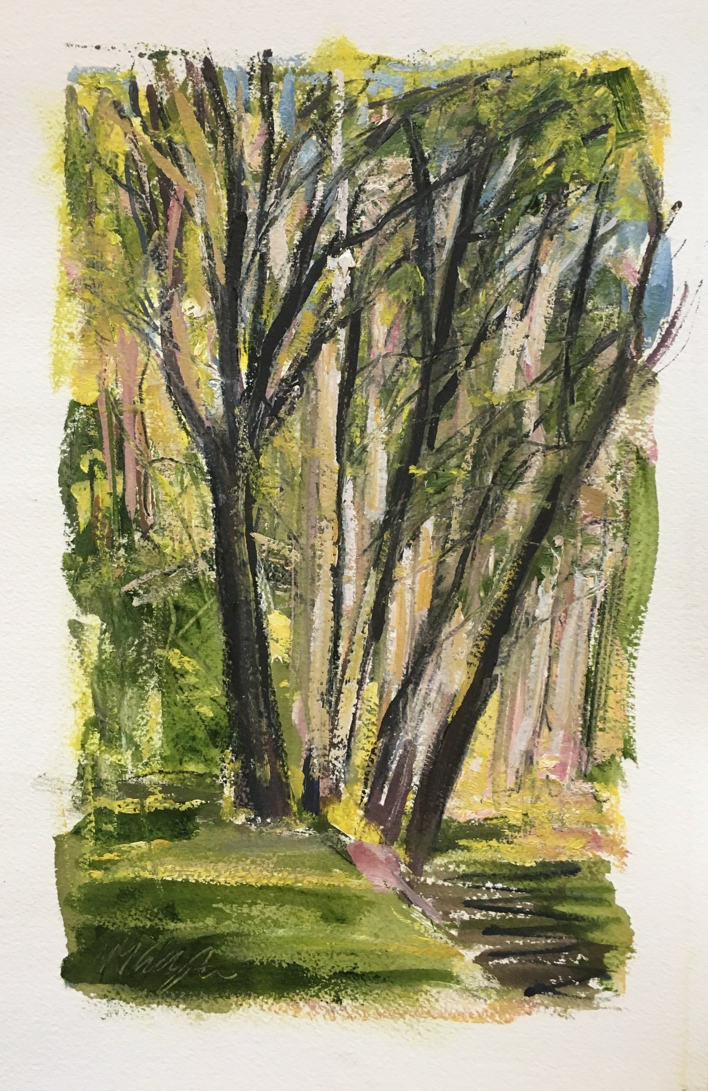 Trees, Clinton Corners, 5:00 pm, May 11th, 2019