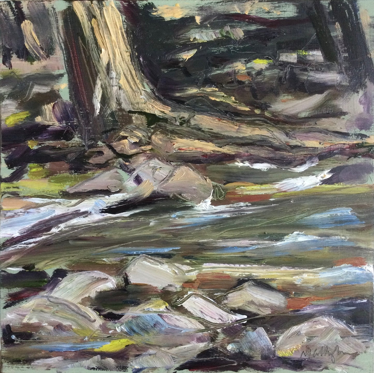 Trees, Rocks, and Water, (Bash Bish Trail), April 24th, 2021