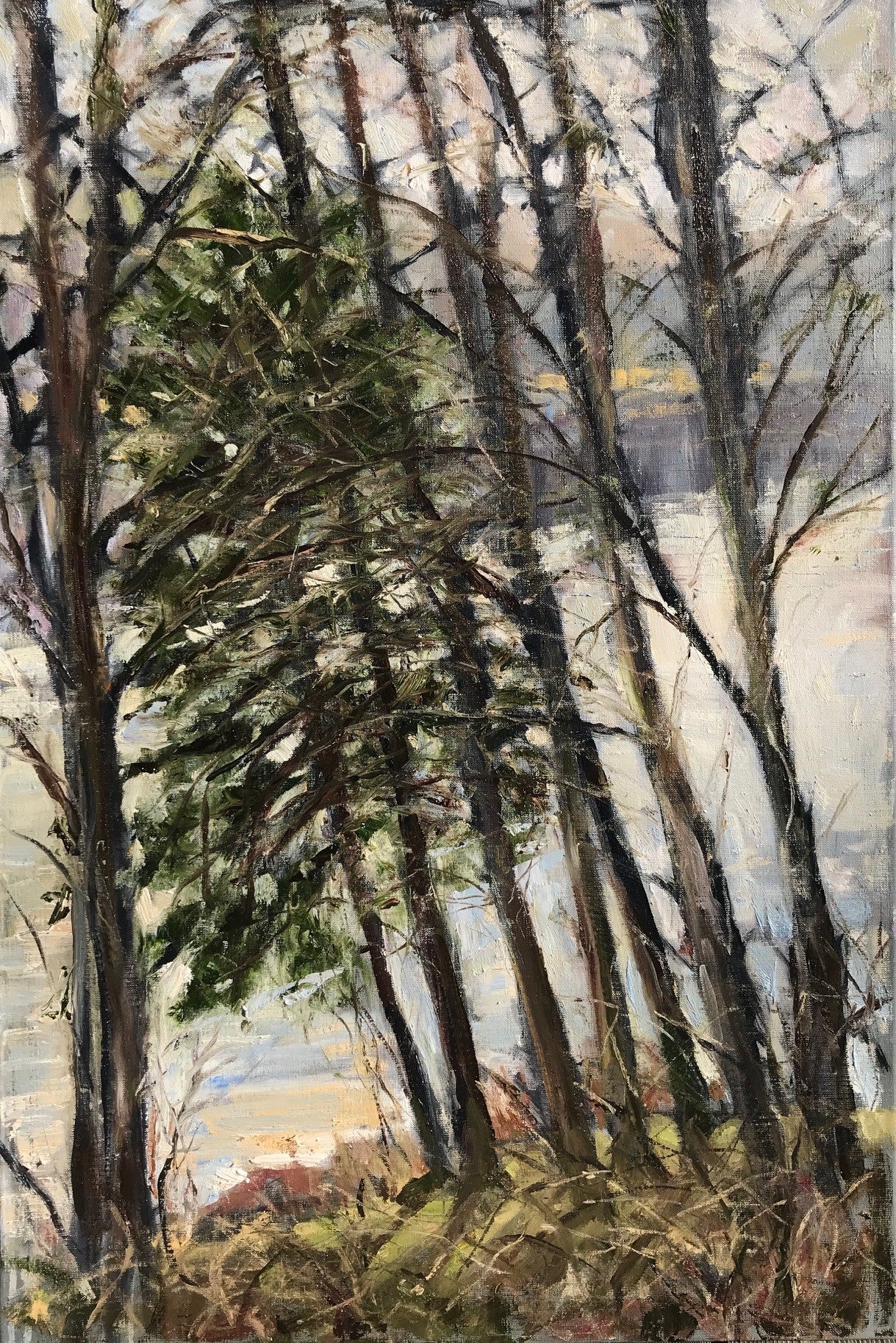 Upton Lake through the Trees, December 28th, 2021