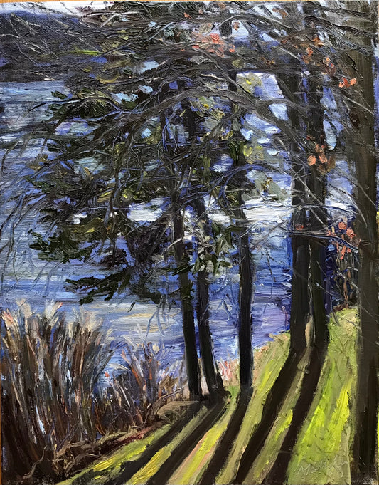 Lake, Trees, Shadows, November 26th, 2022