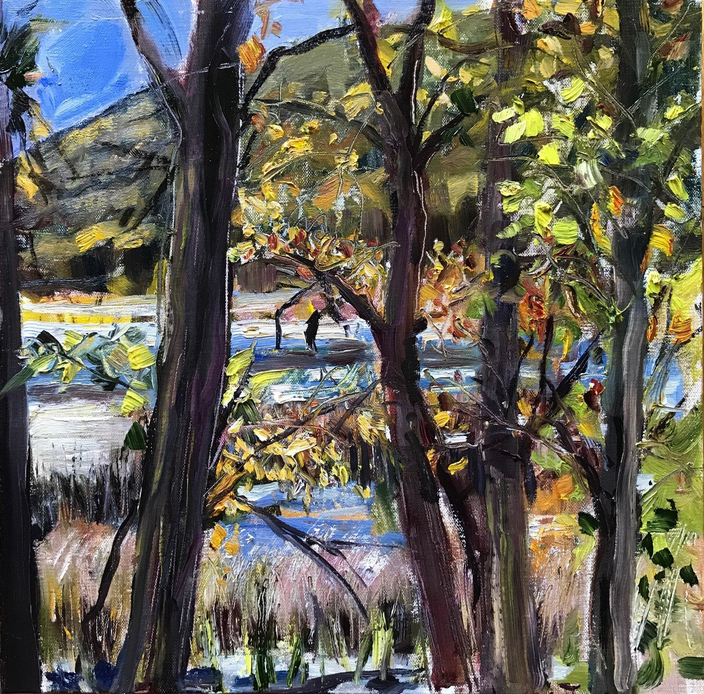 Thompson Pond, Through the Trees, 1:00 pm, October 9th, 2020
