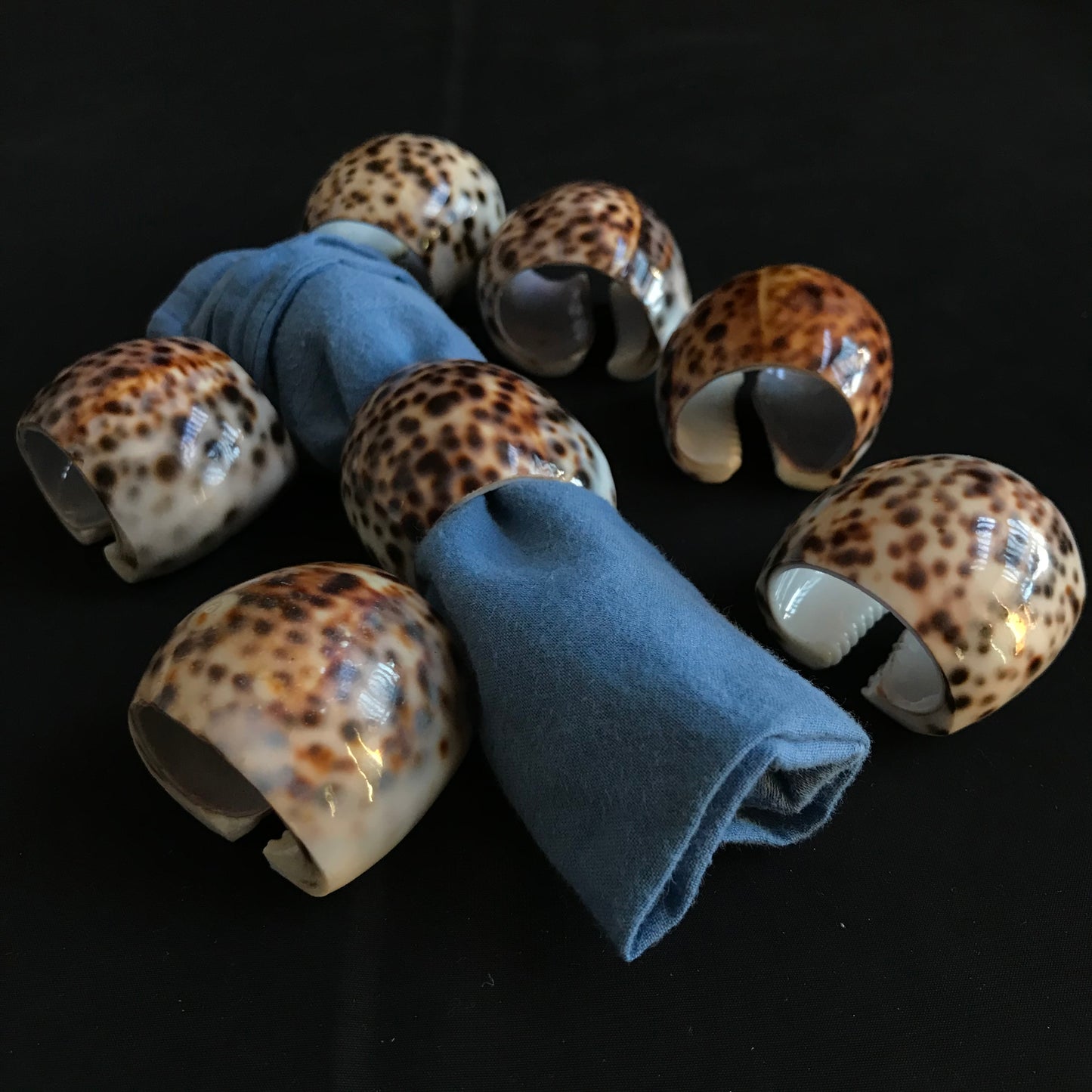 Polished Cowrie Shell Napkin Rings