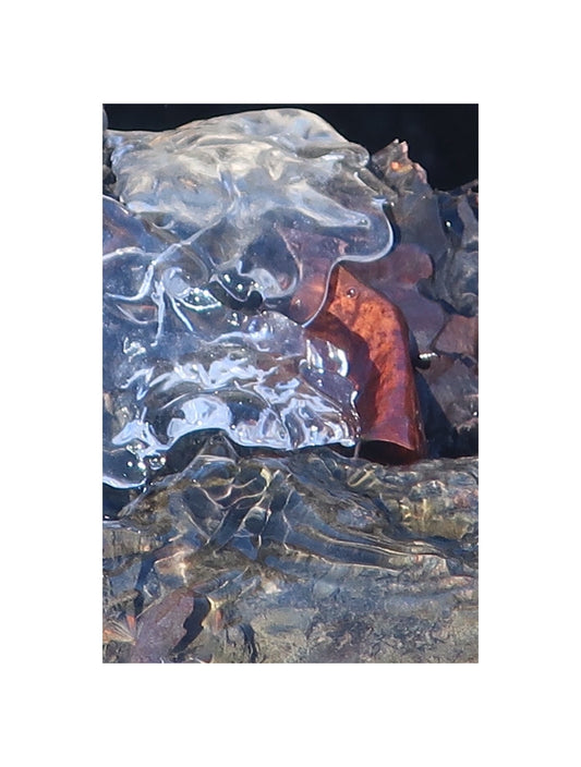 Ambiguity Series #5 (Ice and Leaf) 1/20
