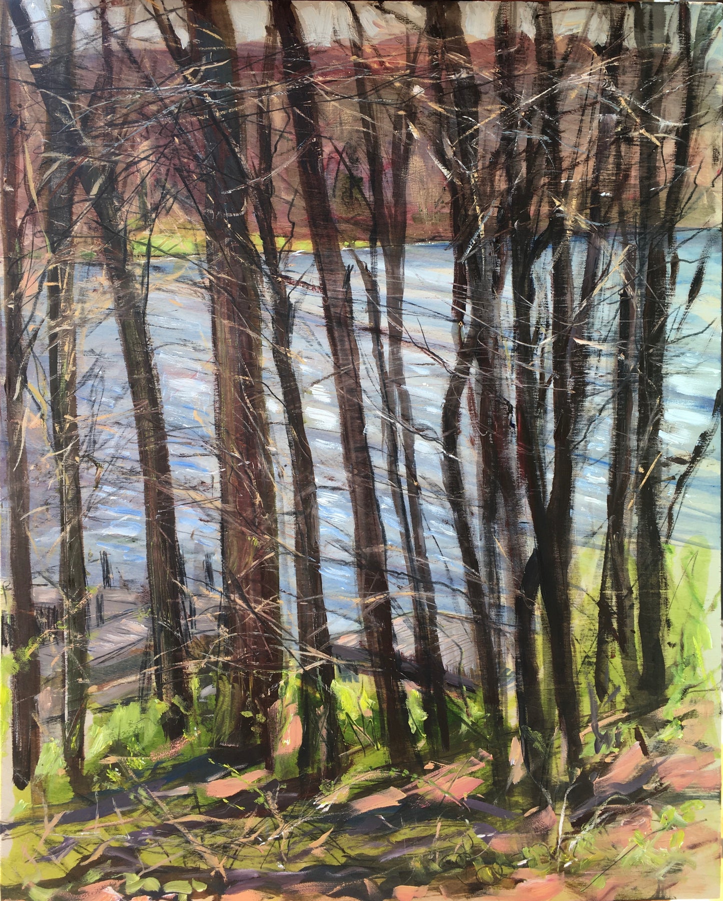 Upton Lake through the Trees, 12:15 pm, April 19th, 2020