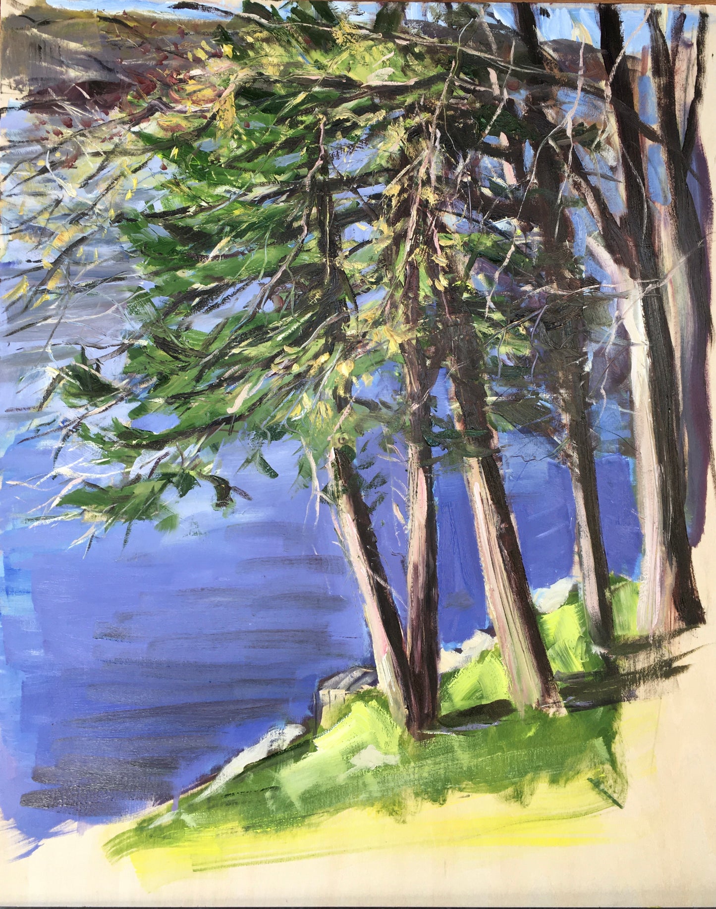 Upton Lake through the Trees, 8:30 am, May 5th, 2020