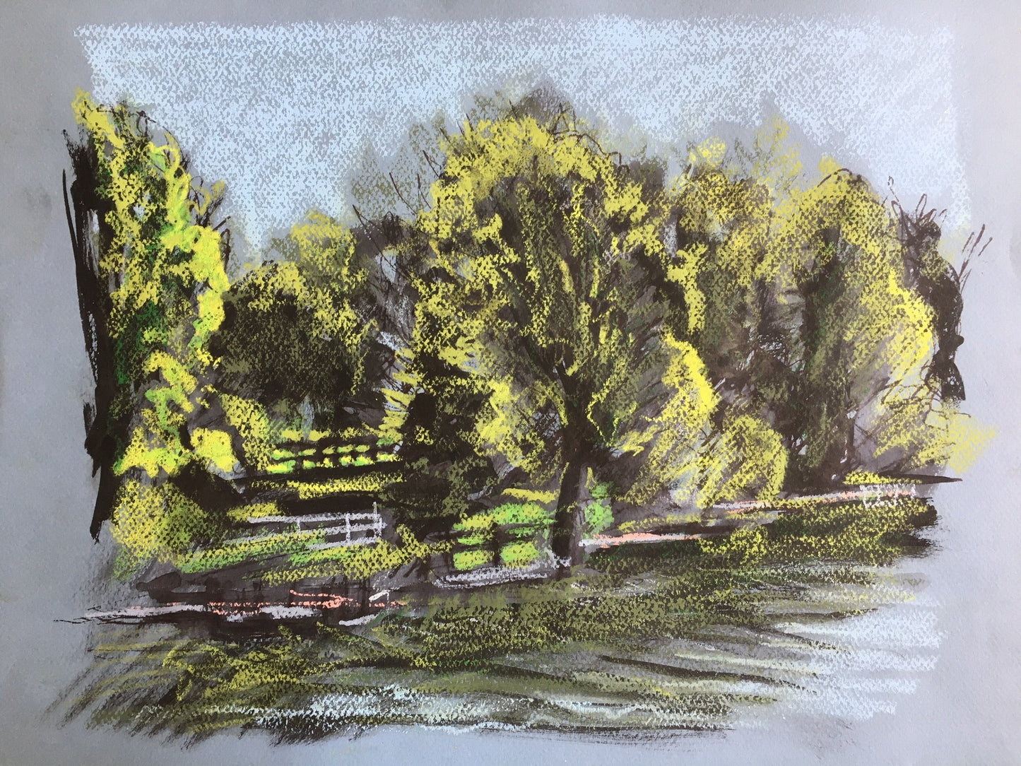 Trees, Upton Lake, May 24th, 2020